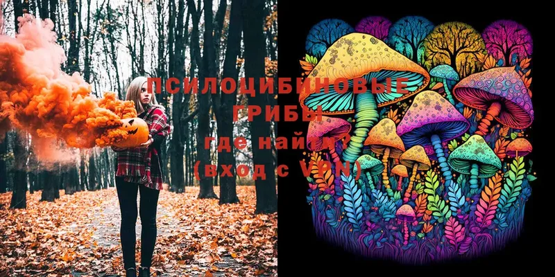 Галлюциногенные грибы Magic Shrooms  наркотики  это какой сайт  Дегтярск 